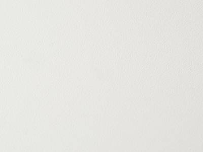 Стеновая панель HPL пластик ALPHALUX белый шагрень A001TF, МДФ, 4200*6*600 мм Изображение