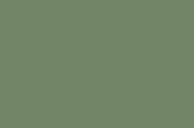 Краска для дерева акриловая ZOBEL Deco-tec 5450B RAL 6011 шелковисто-матовая, 1 л Изображение 2