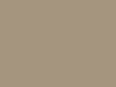 Краска фасадная Rhenocryl Deckfarbe 93C RAL 1019 шелковисто-глянцевая, 1л Изображение 2