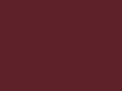 Краска фасадная Rhenocryl Deckfarbe 93C RAL 3005 шелковисто-глянцевая, 1л Изображение 2