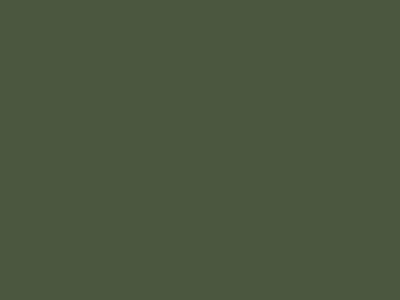 Краска фасадная Rhenocryl Deckfarbe 93C RAL 6003 шелковисто-глянцевая, 1л Изображение 2