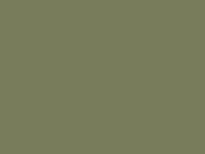 Краска фасадная Rhenocryl Deckfarbe 93C RAL 6013 шелковисто-глянцевая, 1л Изображение 2
