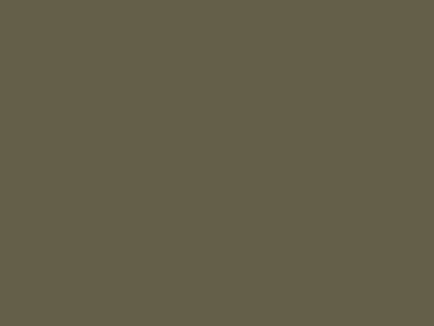 Краска фасадная Rhenocryl Deckfarbe 93C RAL 7002 шелковисто-глянцевая, 1л Изображение 2