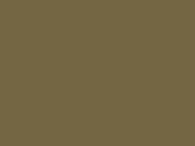 Краска фасадная Rhenocryl Deckfarbe 93C RAL 7008 шелковисто-глянцевая, 1л Изображение 2