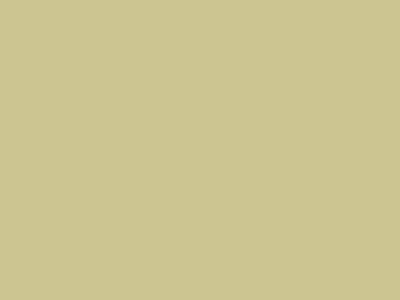 Краска фасадная Rhenocryl Deckfarbe 93C RAL 1000 шелковисто-глянцевая, 1л Изображение 2